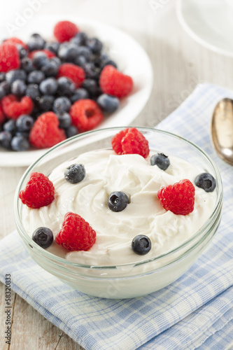 Fresh Organic Healthy Yogurt