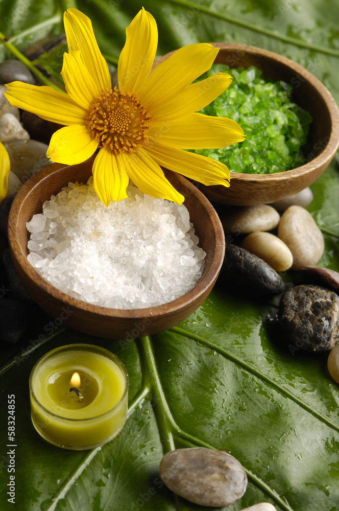 image of tropical spa. image of tropical spa.