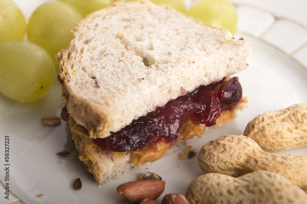Peanut Butter and Jelly Sandwich Peanut Butter and Jelly Sandwich