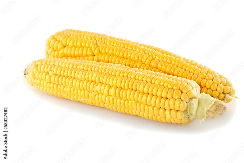 Corn cobs Corn cobs