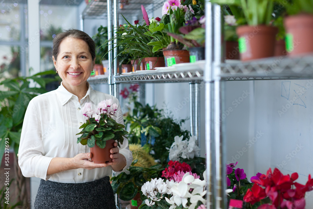 Female florist with Cyclamen plant