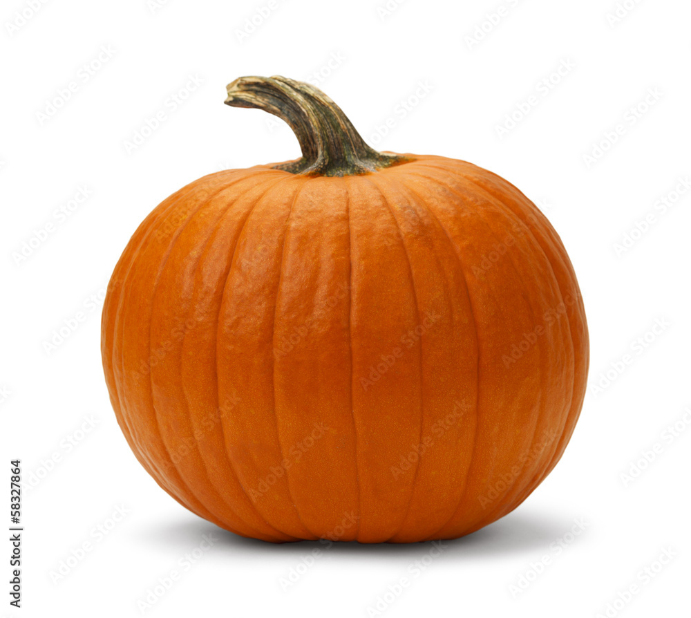 Fototapeta premium Pumpkin