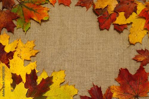 Background of autumn leaves on fabric