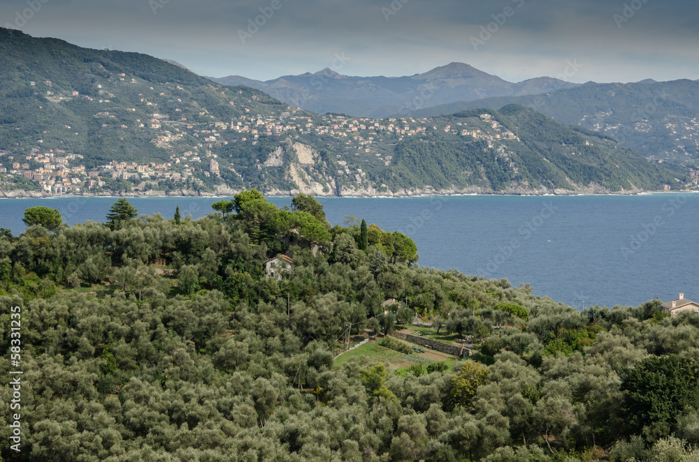 panorama santa Margherita Ligure