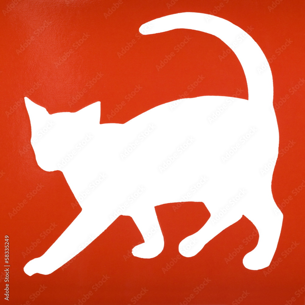 Silhouette of a cat Silhouette of a cat