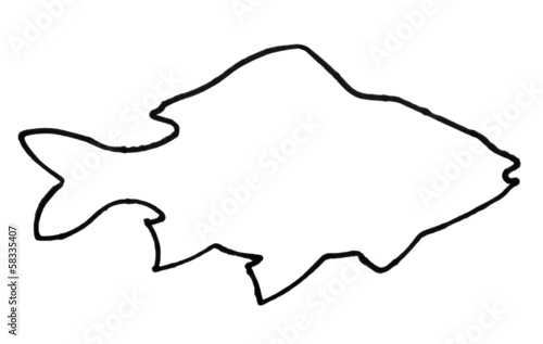 Outline of a fish