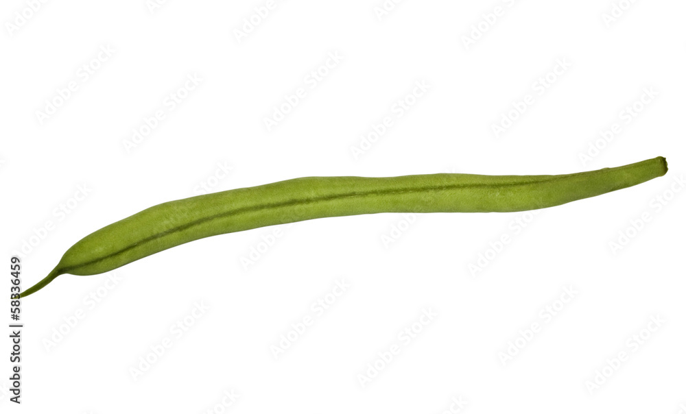 Close-up of a green bean Close-up of a green bean