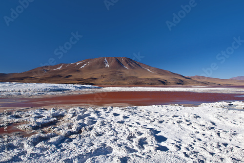 Bolivia - laguna Colorada