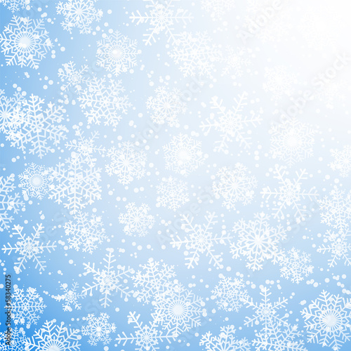 fallen snowflakes