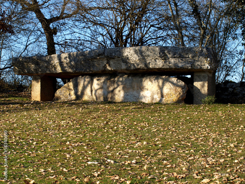 Dolmen de la pierre martine photo