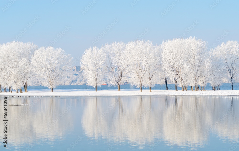 Naklejka premium winter landscape with beautiful reflection in the water