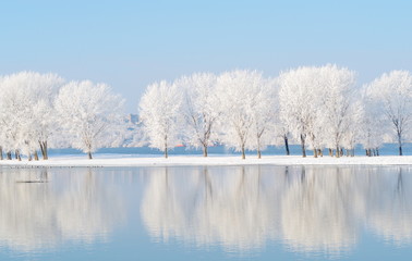 Tableau sur plexiglas Hiver Lac hivernal silencieux avec reflet des arbres  © bereta