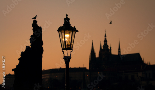 Fotografie seagull and silhouette prague