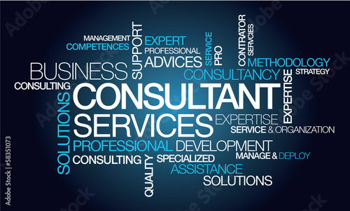 Consultant services professional training word tag cloud