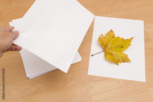 Blatt zwischen Papier pressen