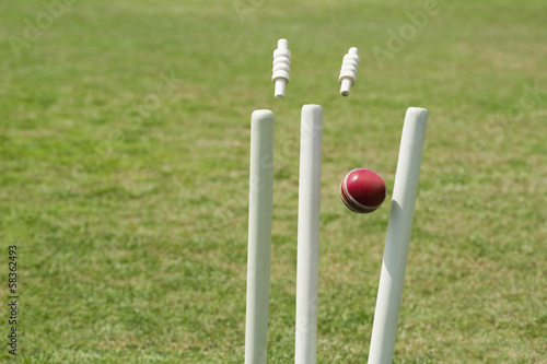 Fotografie Cricket ball hitting stumps