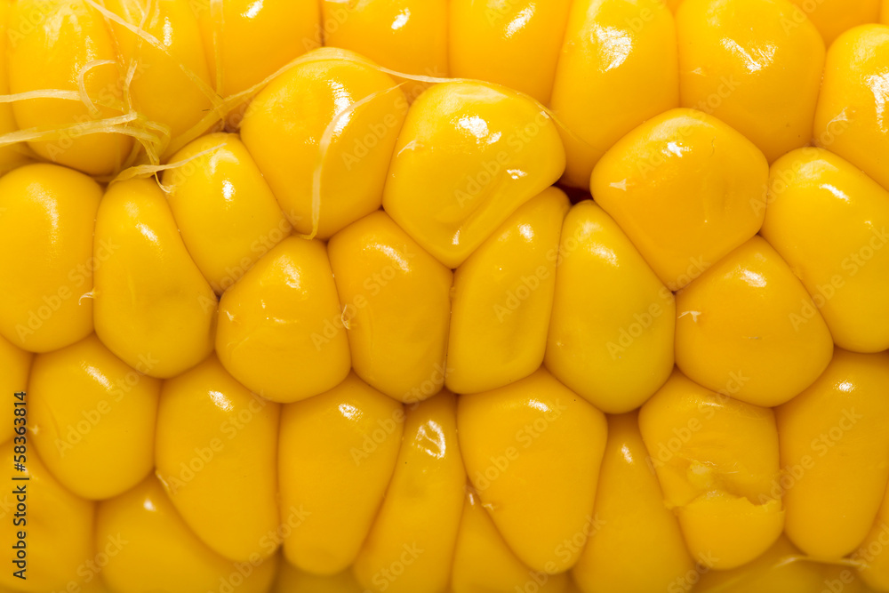 corn as a backdrop. macro