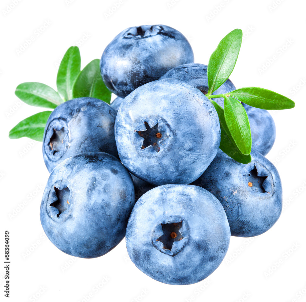 Obraz premium Blueberries with leaves on white background