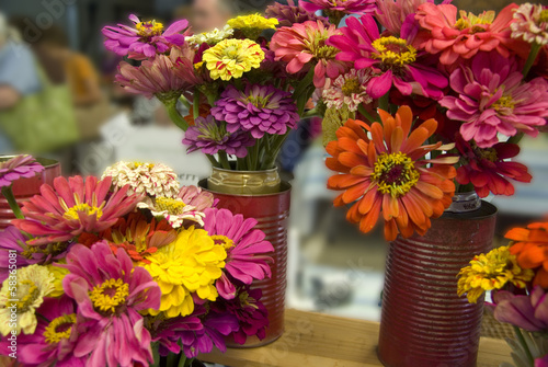 Wallpaper Mural zinnias Torontodigital.ca
