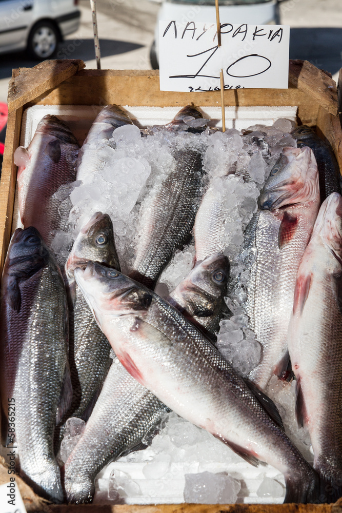 Fresh fish catch on sale at local fish market