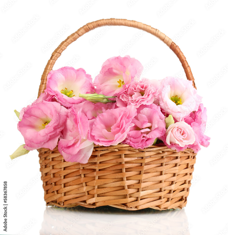 bouquet of eustoma flowers in basket, isolated on white bouquet of eustoma flowers in basket, isolated on white
