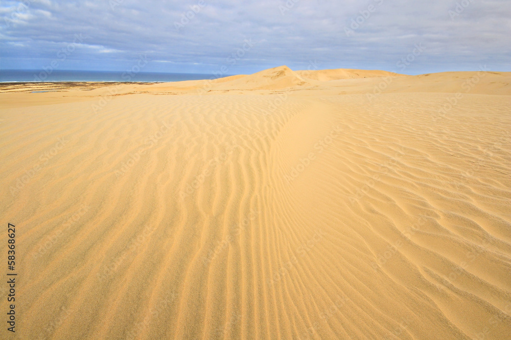 The scenic sand dunes in Te Paki region bording the coastline
