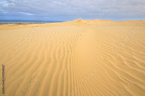 The scenic sand dunes in Te Paki region bording the coastline