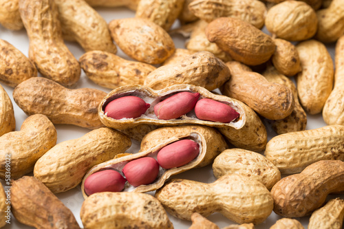 Wallpaper Mural Background of peanuts. macro Torontodigital.ca