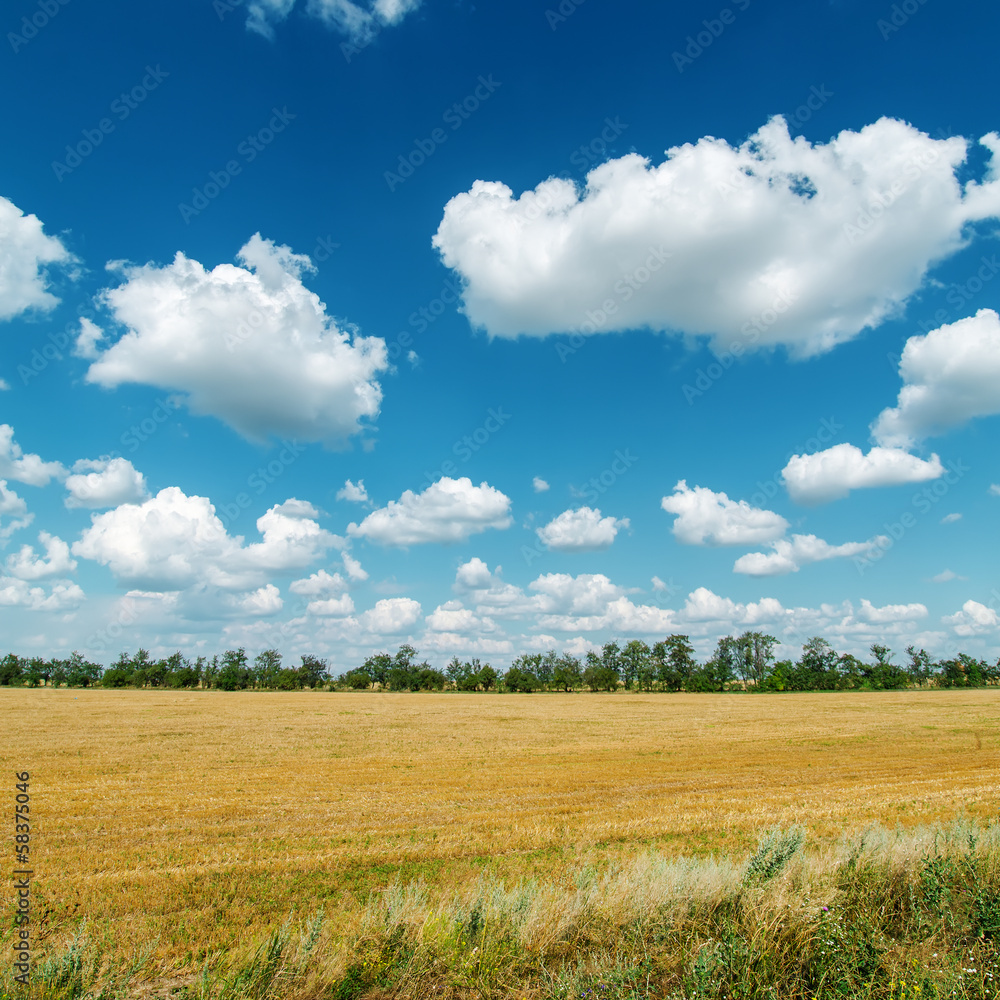 rural landscape under cloudy sky