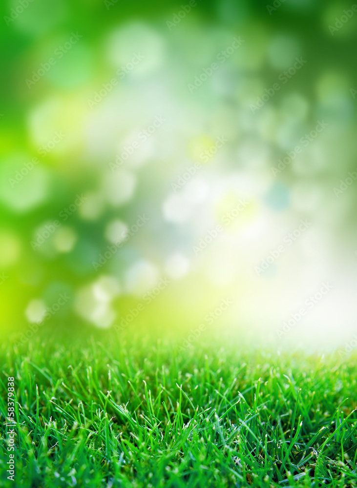 Natural green background with selective focus Natural green background with selective focus