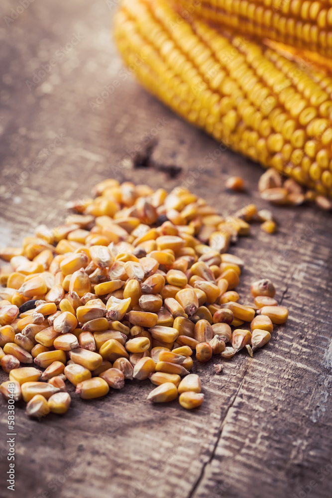 Fresh corn on wooden background Fresh corn on wooden background