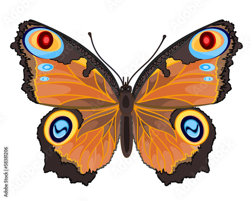 Butterfly Inachis io