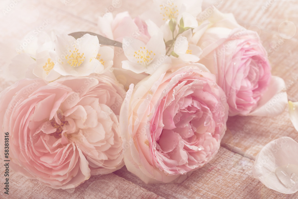 Fototapeta premium Pocztówka ze świeżymi różami i jaśminem