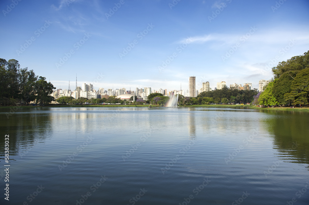 Sao Paulo Brazil City Skyline at Ibirapuera Park