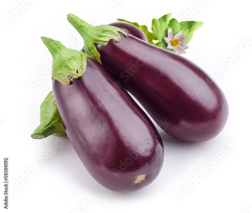 Eggplant with leaves and flowers isolated on white