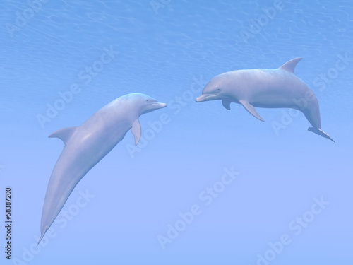 Dolphins date - 3D render