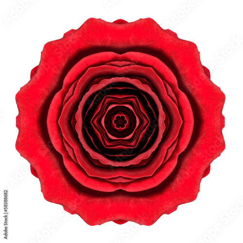 Obraz na plátně Kaleidoscopic Red Rose Flower Mandala Isolated on White