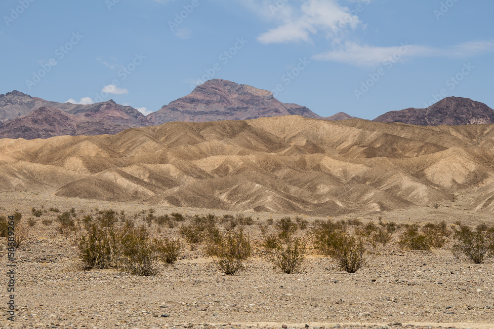 desert and red rocks