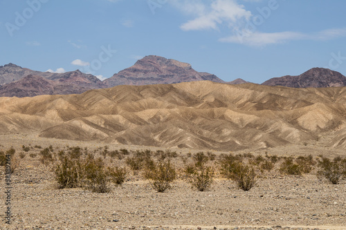 desert and red rocks