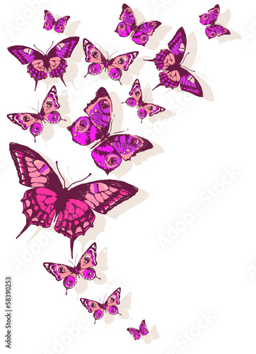 butterflies design