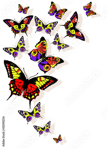 butterflies design