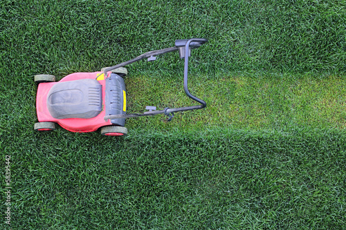 Grass cutter at the lawn