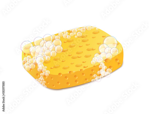Sponge