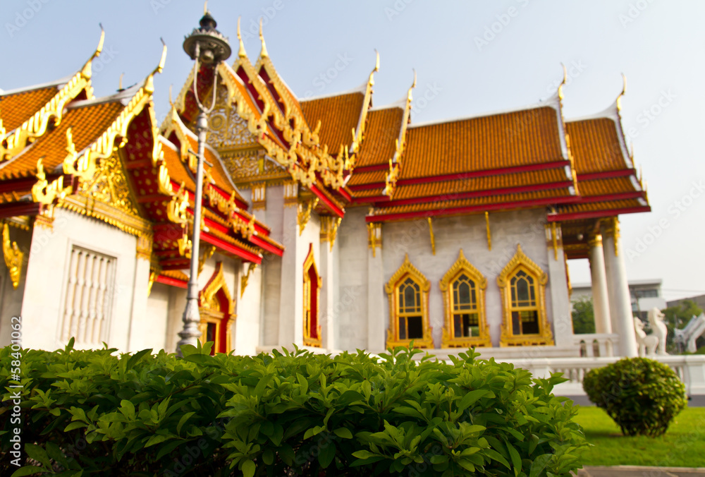 Ant s Eye View is looking through green bushes to a church