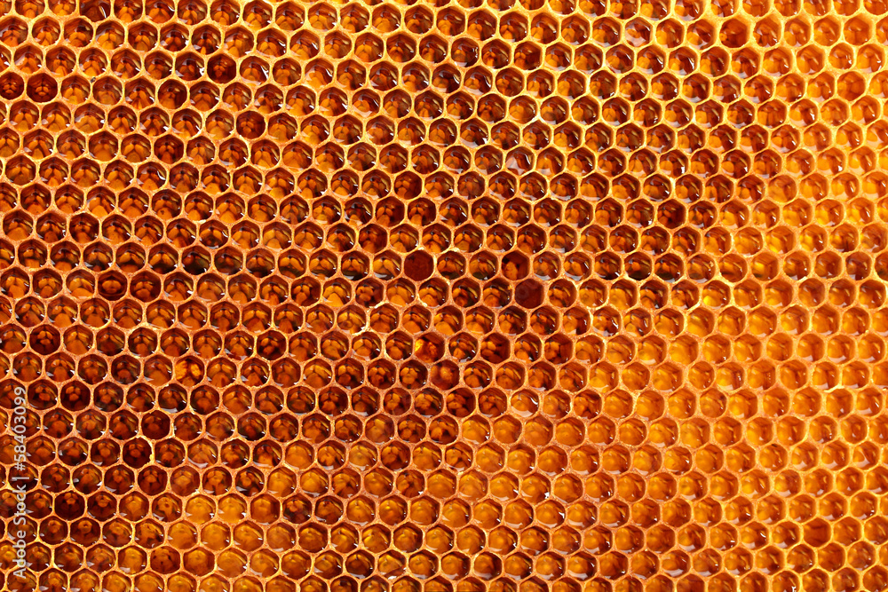 yellow beautiful honeycomb with honey, background yellow beautiful honeycomb with honey, background