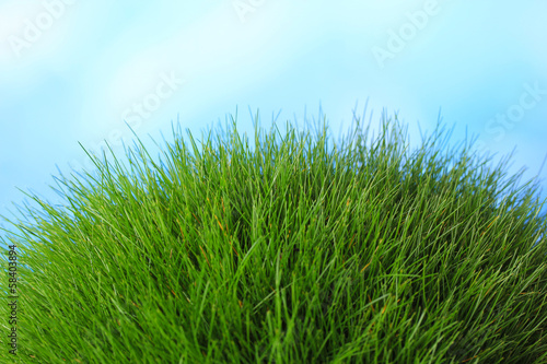Beautiful green grass on blue background