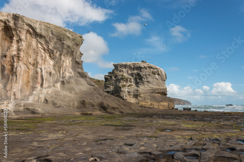 eroded cliffs at Muriwai