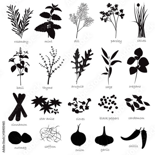 Vector Set of Herbs and Spices