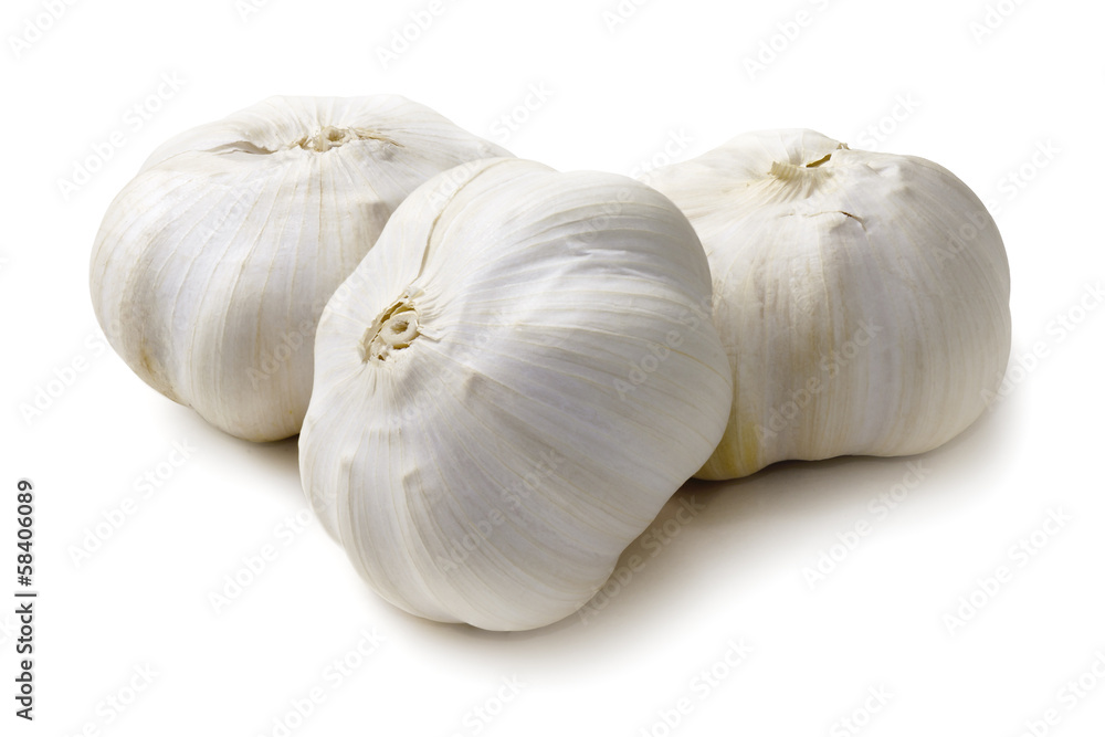 White Garlic