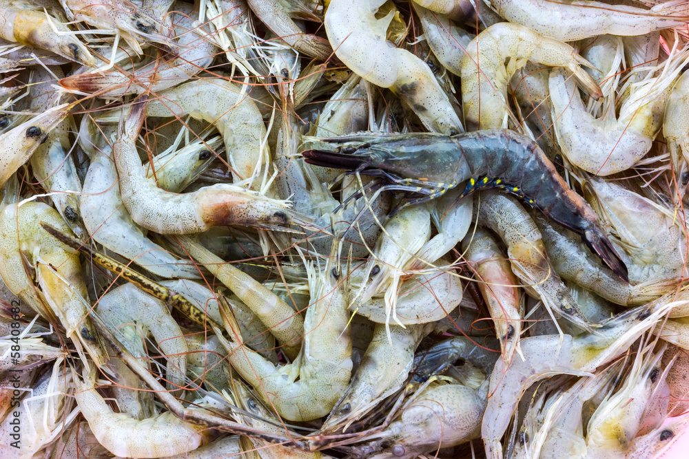Raw shrimp.